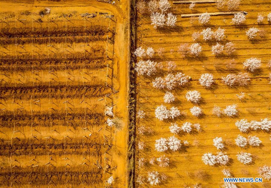 XINHUA PHOTO WEEKLY CHOICES