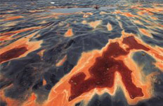 全國污染地塊至少30萬塊 絕大多數未被修復