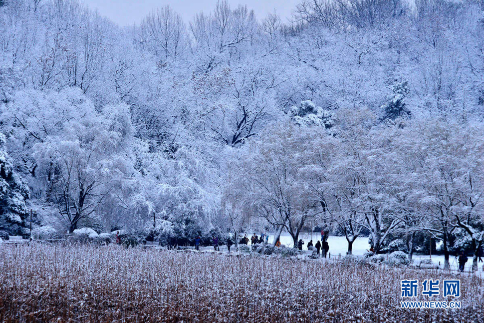 大雪季節發雪片
