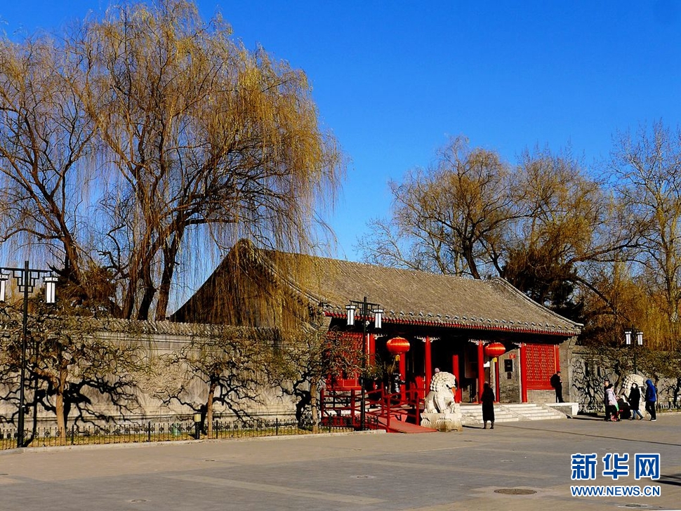 冬至，漫步大觀園