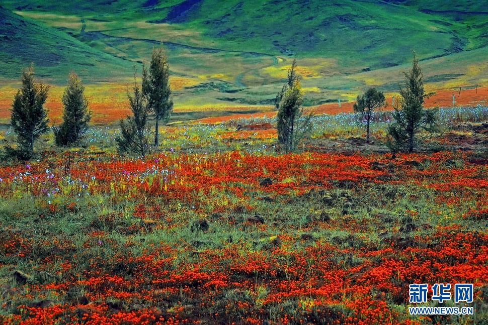 行駕山河 邂逅美麗