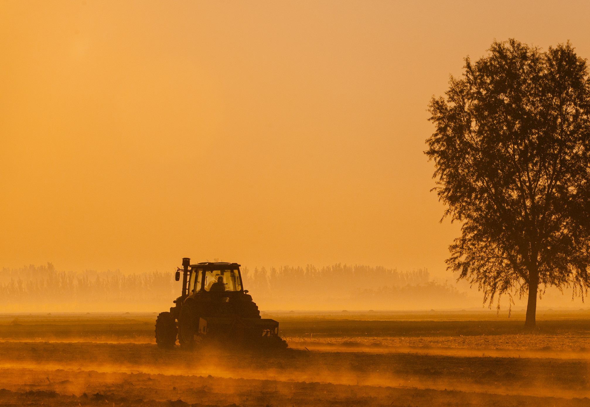 山东农业信贷担保公司绘就财金支农惠农“新画卷”