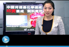 權(quán)威聲音：&ldquo;快時代&rdquo;究竟還有什么可以速成？