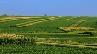 港城基本農田標志牌"換裝"