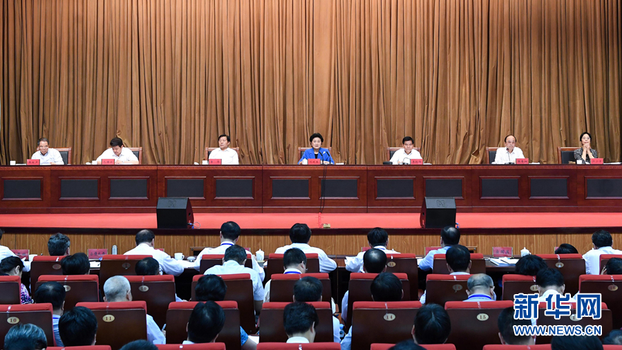 6月25日，全國民族團(tuán)結(jié)進(jìn)步創(chuàng)建經(jīng)驗(yàn)交流現(xiàn)場會(huì)在內(nèi)蒙古興安盟召開，中共中央政治局委員、國務(wù)院副總理劉延?xùn)|出席會(huì)議并講話。 新華社記者 陳曄華 攝