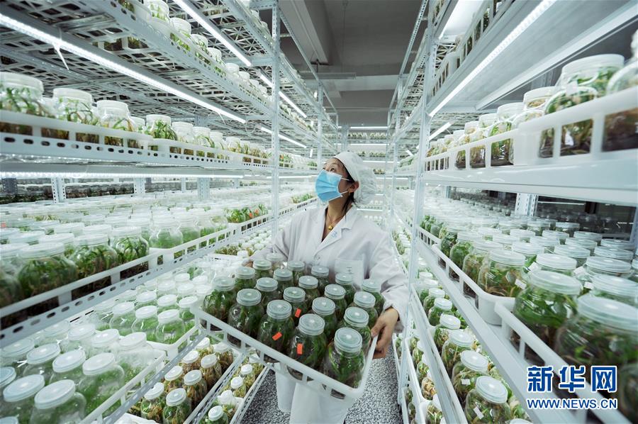 （新華全媒頭條&middot;兩會(huì)精神看落實(shí)&middot;圖文互動(dòng)）（1）適應(yīng)發(fā)展新方位 奮進(jìn)決勝長(zhǎng)征路