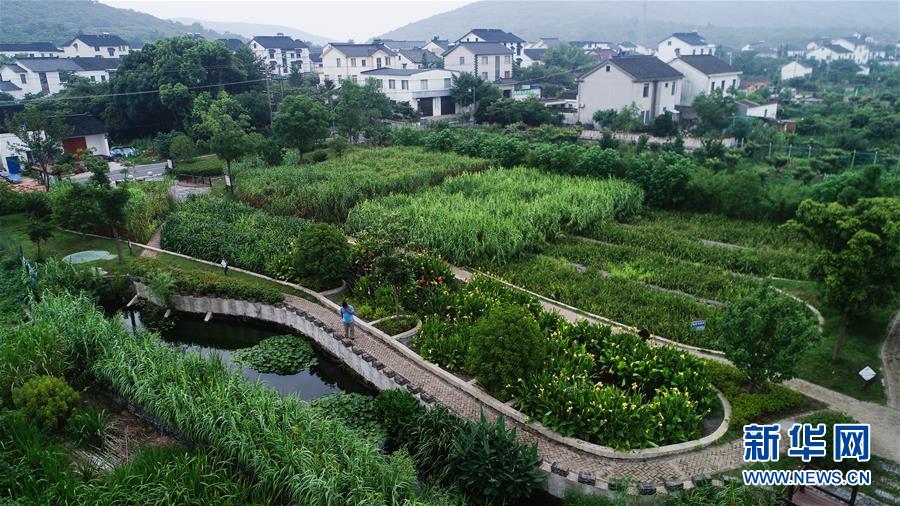 （在習近平新時代中國特色社會主義思想指引下——新時代新作為新篇章·圖文互動）（1）稀奇！治污濕地成了休閑公園——江蘇蘇州全域推進農(nóng)村生活污水治理