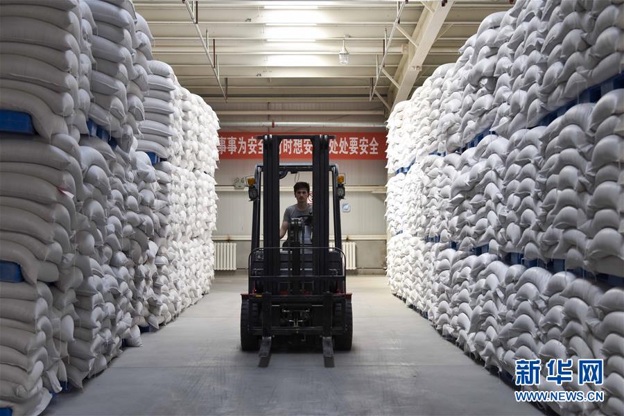 （新華全媒頭條&middot;圖文互動(dòng)）（6）去新疆！穿越古今絲綢之路