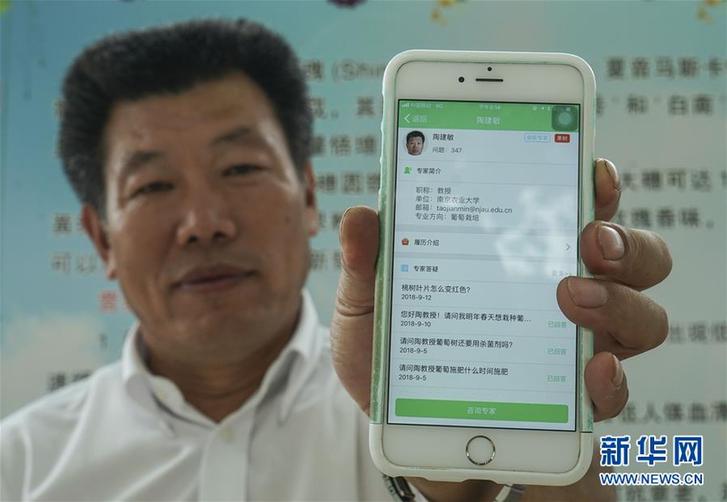 （豐收的味道&middot;圖文互動）（3）露濃壓架葡萄熟&mdash;&mdash;江蘇灌南縣葡萄產業&ldquo;變身記&rdquo;