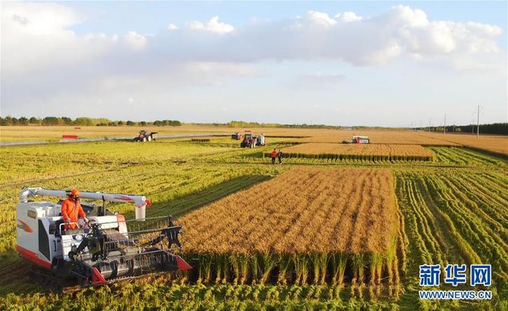 （在習近平新時代中國特色社會主義思想指引下&mdash;&mdash;新時代新作為新篇章&middot;圖文互動）（2）&ldquo;北大倉&rdquo;加速&ldquo;市場化之變&rdquo;