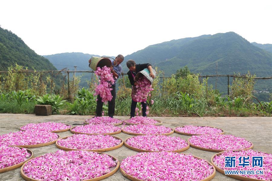 （在習(xí)近平新時(shí)代中國(guó)特色社會(huì)主義思想指引下&middot;慶祝改革開(kāi)放40周年&middot;綠色發(fā)展&middot;圖文互動(dòng)）（3）吹盡狂沙始到金&mdash;&mdash;綠色發(fā)展之&ldquo;金&rdquo;的故事 