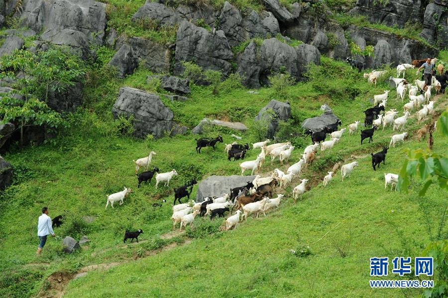 （兩會(huì)前夕看落實(shí)&middot;圖文互動(dòng)）（2）決戰(zhàn)脫貧攻堅(jiān) 奮力后發(fā)趕超&mdash;&mdash;貴州落實(shí)習(xí)近平總書記全國兩會(huì)重要講話精神紀(jì)實(shí)