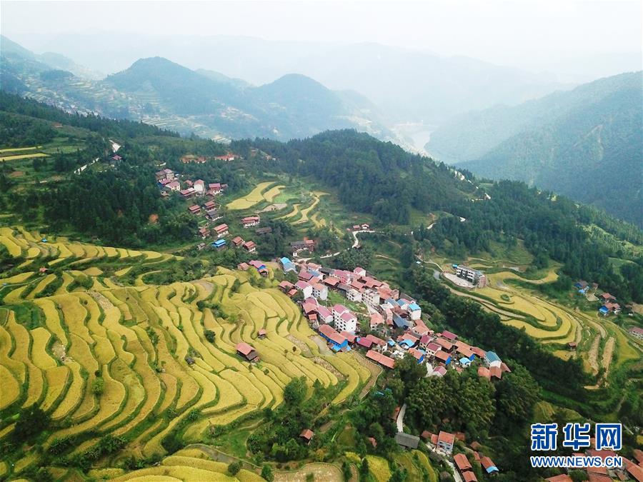 （兩會(huì)前夕看落實(shí)&middot;圖文互動(dòng)）（6）決戰(zhàn)脫貧攻堅(jiān) 奮力后發(fā)趕超&mdash;&mdash;貴州落實(shí)習(xí)近平總書記全國兩會(huì)重要講話精神紀(jì)實(shí)