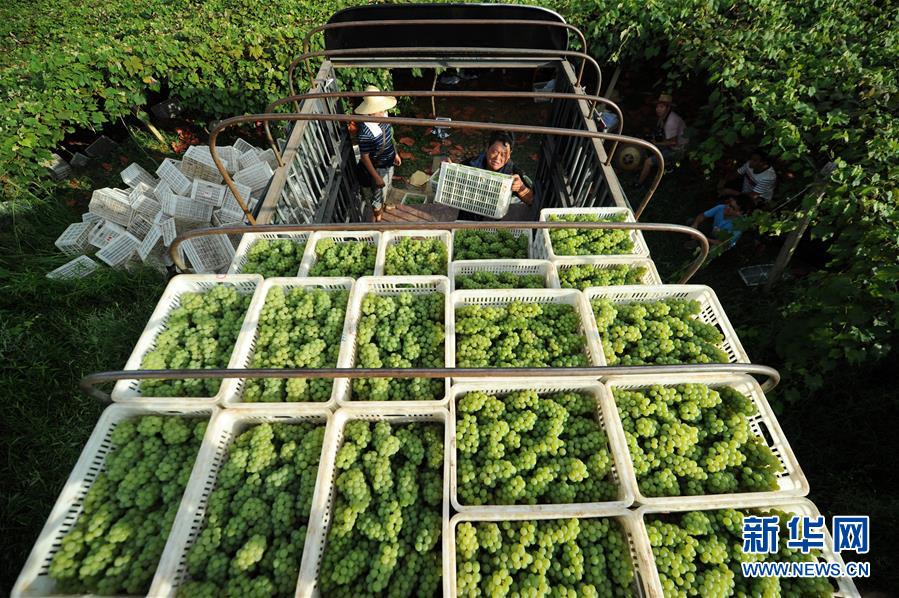 （兩會(huì)前夕看落實(shí)&middot;圖文互動(dòng)）（7）決戰(zhàn)脫貧攻堅(jiān) 奮力后發(fā)趕超&mdash;&mdash;貴州落實(shí)習(xí)近平總書記全國兩會(huì)重要講話精神紀(jì)實(shí)