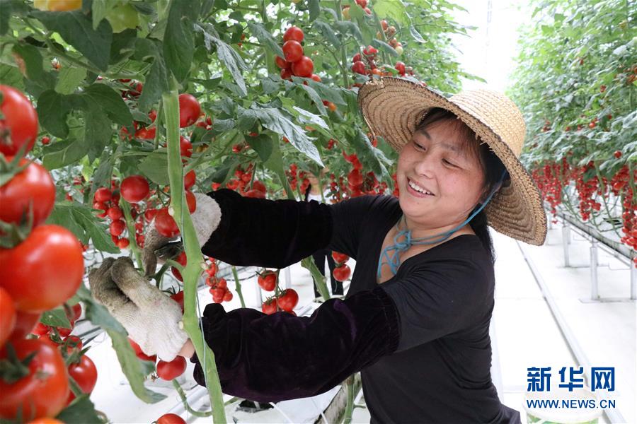 （兩會前夕看落實&middot;圖文互動）（8）奮力脫貧攻堅 生態追&ldquo;清&rdquo;逐&ldquo;綠&rdquo;&mdash;&mdash;江西落實習近平總書記全國兩會重要講話精神紀實