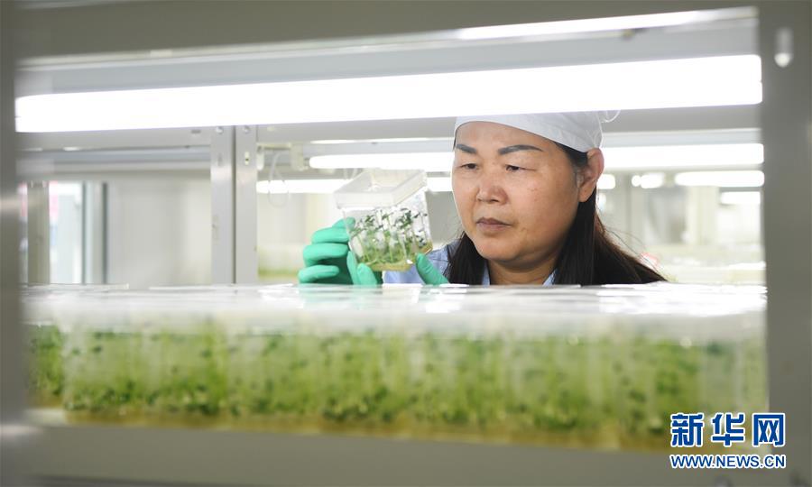 （兩會(huì)前夕看落實(shí)&middot;圖文互動(dòng)）（5）春風(fēng)涌動(dòng)兩江潮&mdash;&mdash;重慶落實(shí)習(xí)近平總書(shū)記全國(guó)兩會(huì)重要講話精神紀(jì)實(shí)