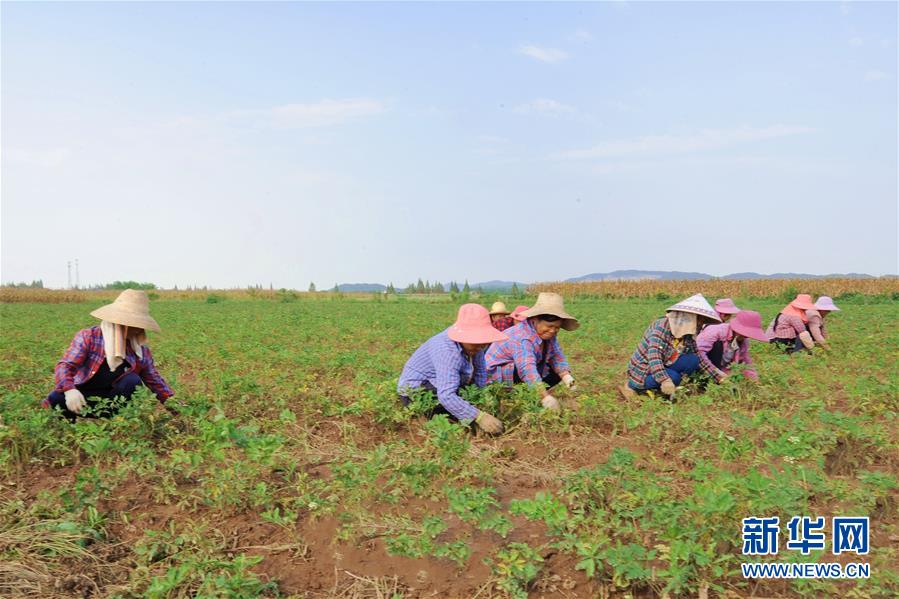 （新華全媒頭條&middot;圖文互動）（9）滄海桑田一指間&mdash;&mdash;6個村莊的70年巨變 