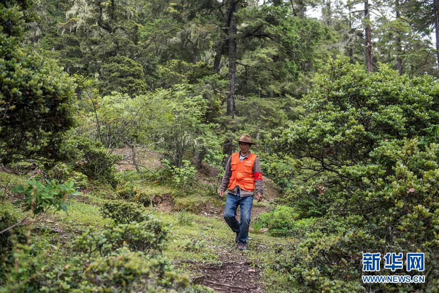 （新華全媒頭條&middot;北京世園會&middot;圖文互動）（13）建設(shè)美麗中國 共筑綠色家園&mdash;&mdash;寫在2019年中國北京世界園藝博覽會開幕之際