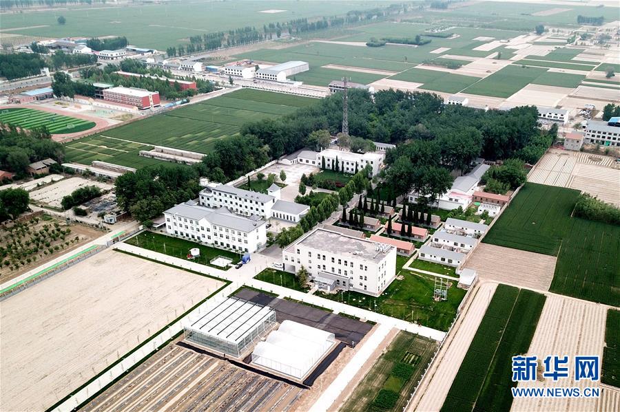 （新華全媒頭條&middot;愛國情 奮斗者&middot;圖文互動）（12）把論文寫在祖國的大地上&mdash;&mdash;中國農業大學46年扎根河北曲周服務鄉村振興紀實