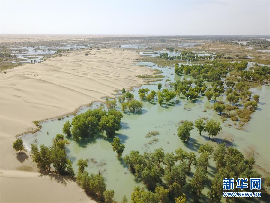 （新華全媒頭條&middot;圖文互動）（3）大河歸來