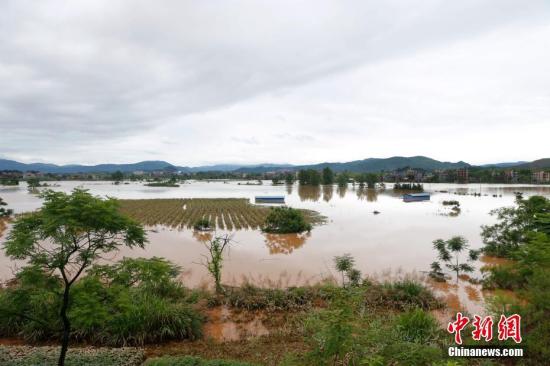 資料圖：湖南省臨武縣武水鎮、南強鎮、汾市鎮、水東鎮、金江鎮等鄉鎮遭遇特大暴雨襲擊，導致大量民房和農田被淹。據不完全統計，該縣數千戶民房被淹，數十萬畝農田、果園、煙田被淹斷收，直接經濟損失達數千萬元。災情發生后，當地政府及相關部門第一時間奔赴受災鄉鎮轉移群眾，察看災情并積極組織村民排澇自救、發放救災物資、開展保險理賠等工作。目前救災工作正在有序進行，無人員傷亡。唐盛歡 攝