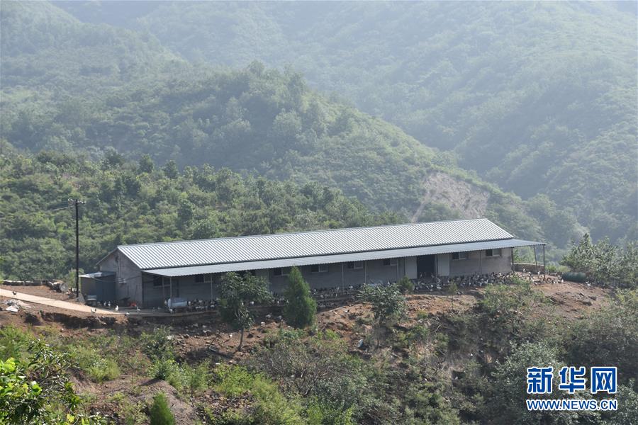 （圖文互動）（2）&ldquo;退休創客&rdquo;的山鄉致富&ldquo;合作社&rdquo;