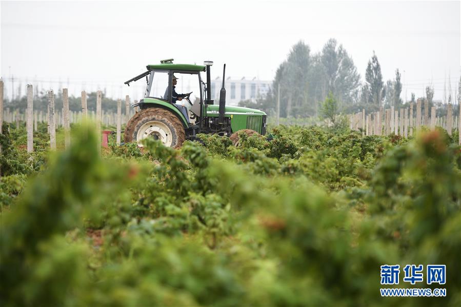 （壯麗70年&middot;奮斗新時(shí)代&mdash;&mdash;共和國發(fā)展成就巡禮&middot;圖文互動(dòng)）（10）生態(tài)美、百姓富&mdash;&mdash;品讀嶄新&ldquo;寧夏畫卷&rdquo;