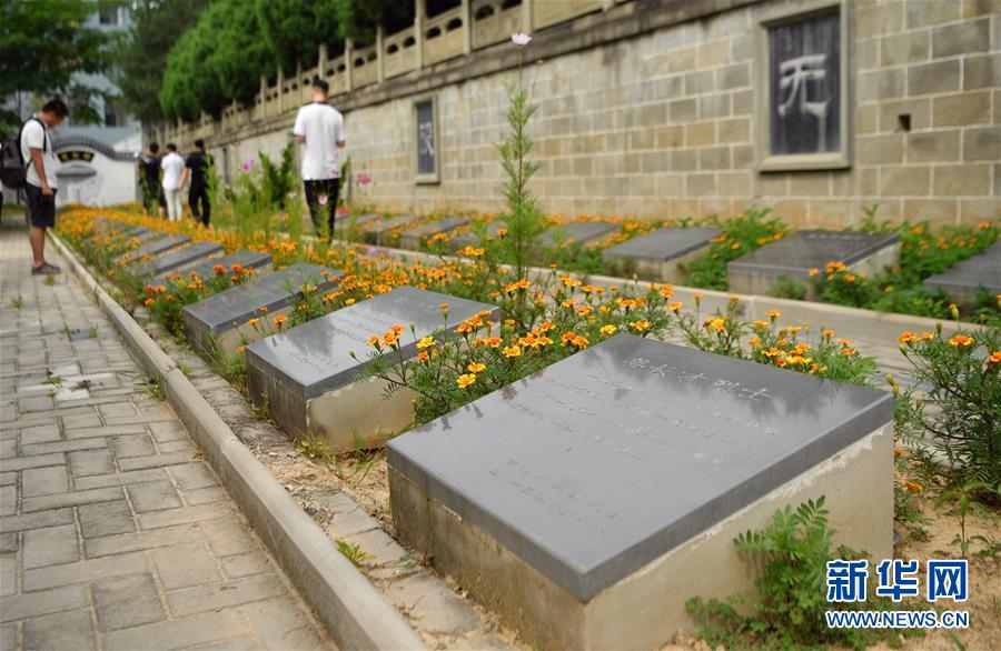 （新華全媒頭條&middot;壯麗70年&middot;奮斗新時代&mdash;&mdash;記者再走長征路&middot;圖文互動）（11）紅星，從這里照耀中國&mdash;&mdash;陜北見證中國革命的歷史轉折