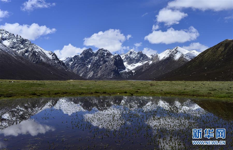 （今日關(guān)注&middot;第一屆國(guó)家公園論壇&middot;圖文互動(dòng)）（6）首個(gè)國(guó)家公園什么樣？專家?guī)阆?ldquo;睹&rdquo;為快
