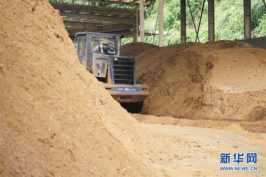 （在習(xí)近平新時(shí)代中國(guó)特色社會(huì)主義思想指引下&mdash;&mdash;新時(shí)代新作為新篇章&middot;總書記關(guān)心的百姓身邊事&middot;圖文互動(dòng)）（4）大污染變身&ldquo;大寶藏&rdquo;：治理畜禽糞污，他們這樣干！