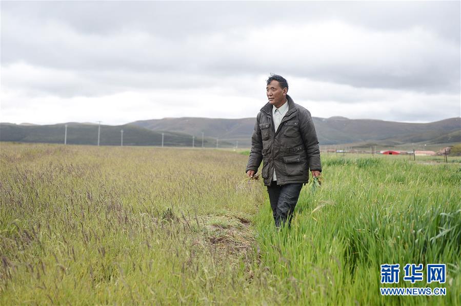 （新華全媒頭條&middot;圖文互動(dòng)）（8）確保&ldquo;中華水塔&rdquo;碧水東流&mdash;&mdash;中國(guó)三江源生態(tài)保護(hù)報(bào)告