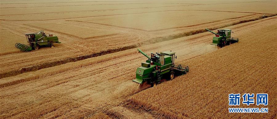 （新華全媒頭條&middot;圖文互動）（1）大國糧倉的新時代交響&mdash;&mdash;河南農業70年觀察