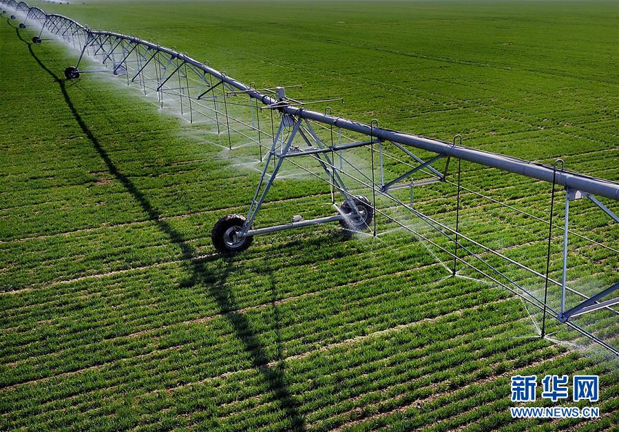 （新華全媒頭條&middot;圖文互動）（4）大國糧倉的新時代交響&mdash;&mdash;河南農業70年觀察