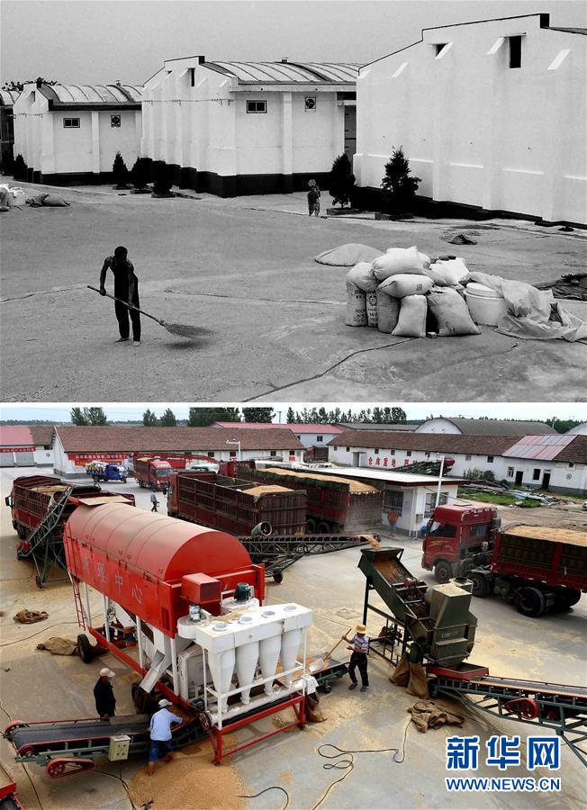 （新華全媒頭條&middot;圖文互動）（9）大國糧倉的新時代交響&mdash;&mdash;河南農業70年觀察