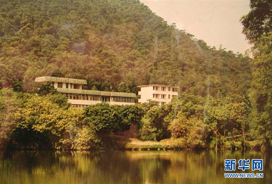 （圖文互動）（4）科學接續保護 守住生態紅線&mdash;&mdash;探訪&ldquo;北回歸沙漠帶上的綠色明珠&rdquo;