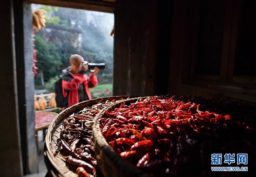 （圖文互動）（6）鄉(xiāng)村攝影師、鄉(xiāng)村&ldquo;模特&rdquo;、民宿店主&mdash;&mdash;鄉(xiāng)村旅游推動婺源農(nóng)民生活方式發(fā)生新變化