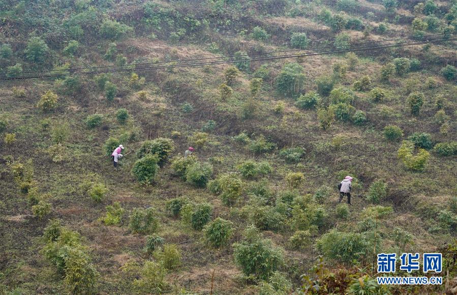 （新華全媒頭條&middot;圖文互動）（12）烏蒙歡歌高鐵來&mdash;&mdash;寫在成貴高鐵通車之際