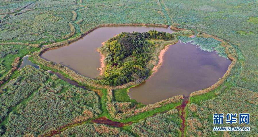 （新華全媒頭條&middot;圖文互動）（13）大湖見證&mdash;&mdash;長三角三大淡水湖綠色發展之路
