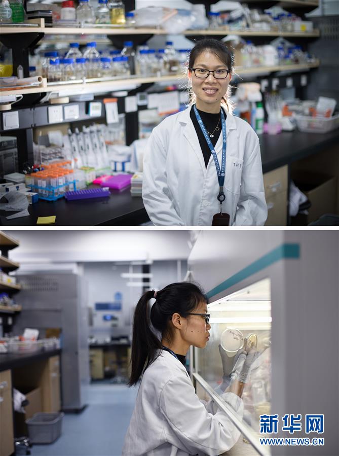 （新華全媒頭條&middot;圖文互動）（1）創造中華民族的偉大歷史時間&mdash;&mdash;寫在農歷庚子鼠年春節到來之際 