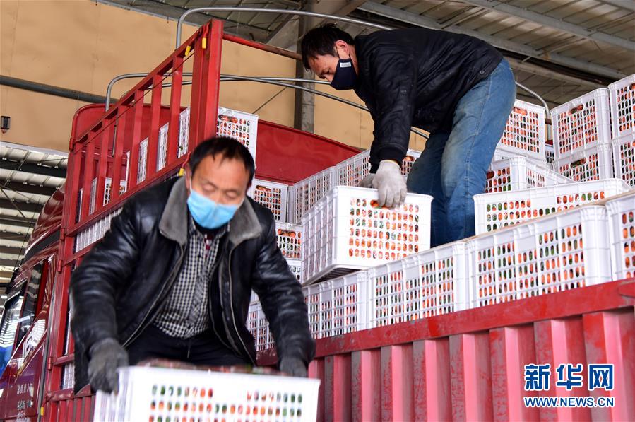 （聚焦疫情防控&middot;圖文互動）（5）吃的東西充足，做點花樣菜吧！&mdash;&mdash;中部地區(qū)最大農(nóng)產(chǎn)品批發(fā)市場見聞 