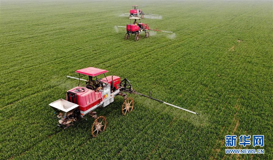 （新華全媒頭條&middot;圖文互動）（3）春天，匯聚復蘇的力量&mdash;&mdash;寫在2020年首季中國經濟收官之際