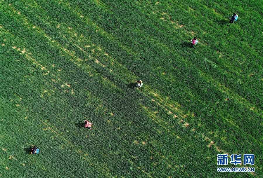 （新華全媒頭條&middot;圖文互動）（5）春天，匯聚復蘇的力量&mdash;&mdash;寫在2020年首季中國經濟收官之際