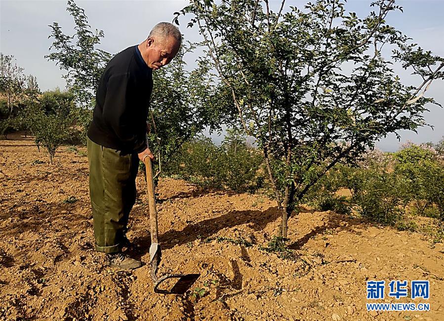 （新華全媒頭條&middot;圖文互動）（4）春天里的5個&ldquo;戰貧&rdquo;瞬間&mdash;&mdash;習近平總書記關于脫貧攻堅決策部署指引攻克最后的深貧堡壘