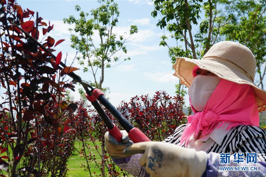 （決戰(zhàn)決勝脫貧攻堅(jiān)&middot;圖文互動）（2）李三姐有了&ldquo;美&rdquo;差事