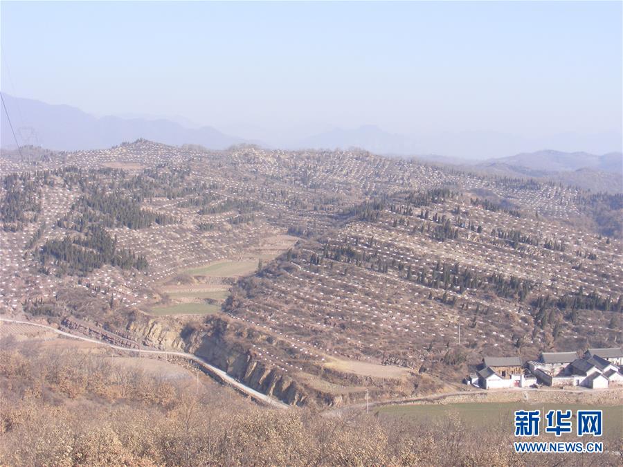 （決戰(zhàn)決勝脫貧攻堅&middot;圖文互動）（2）&ldquo;愚公&rdquo;治山