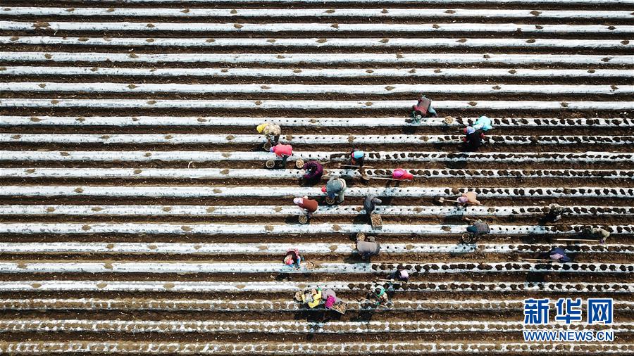 （在習(xí)近平新時代中國特色社會主義思想指引下&mdash;&mdash;新時代新作為新篇章&middot;習(xí)近平總書記關(guān)切事&middot;圖文互動）（2）讓每一寸耕地都成為豐收的沃土&mdash;&mdash;我國加強耕地保護推進&ldquo;藏糧于地&rdquo;