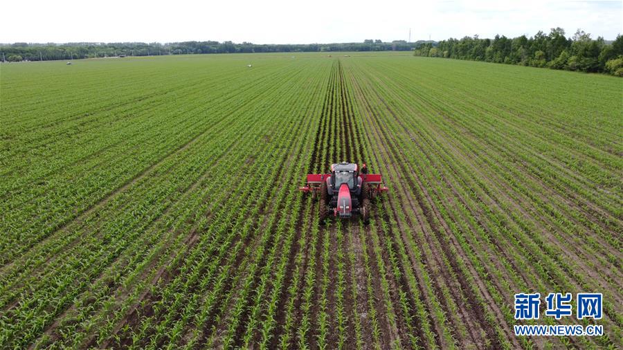 （在習(xí)近平新時代中國特色社會主義思想指引下&mdash;&mdash;新時代新作為新篇章&middot;習(xí)近平總書記關(guān)切事&middot;圖文互動）（5）讓每一寸耕地都成為豐收的沃土&mdash;&mdash;我國加強耕地保護推進&ldquo;藏糧于地&rdquo;