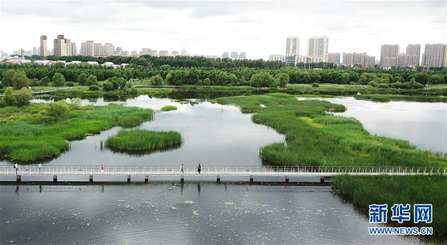 （走向我們的小康生活·圖文互動(dòng)）（1）水清、地綠、空氣新——最北省份黑龍江繪就生態(tài)治理新畫卷