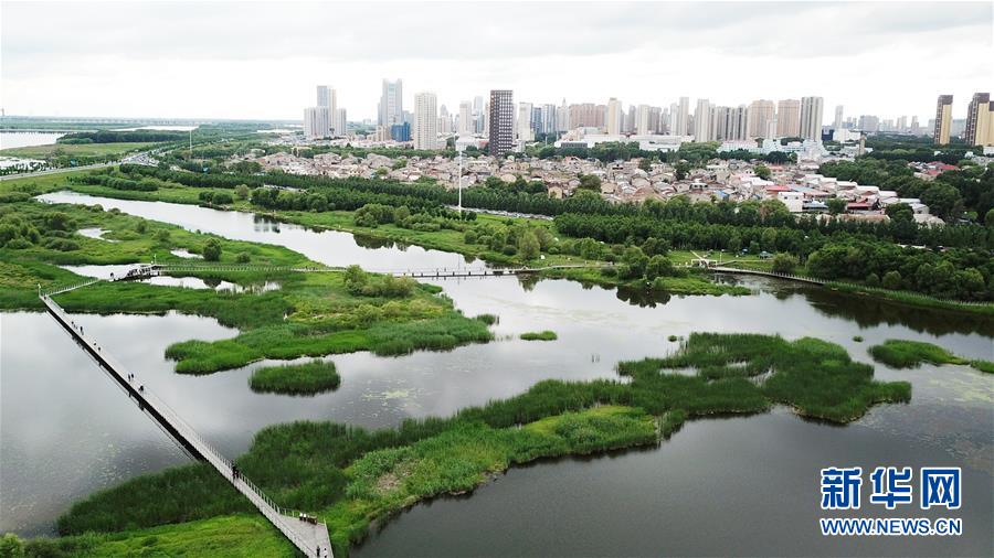 （走向我們的小康生活·圖文互動(dòng)）（2）水清、地綠、空氣新——最北省份黑龍江繪就生態(tài)治理新畫卷