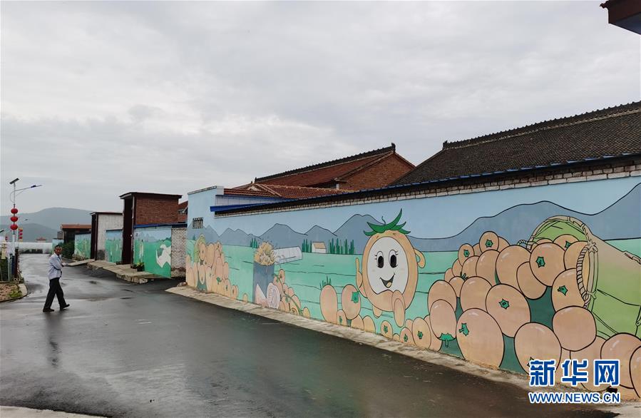 （決戰決勝脫貧攻堅&middot;圖文互動）（1）西紅柿小鎮的&ldquo;致富經&rdquo;